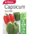 Yts Capsicum Giant Bell - 1