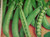 Peas - Greenfeast 500g