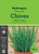 MG Herb Chives Garlic