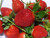 Strawberry 'Assorted' 4 Punnet