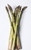 Asparagus - Pacific Endeavour 6L (84293) 6L