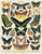 Puzzle - Butterfly Vintage