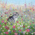 Card - Cat In A Cottage Garden