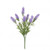 Lavender - Wild Bush