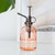 Plant Mister - Minimalist Pink