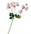 Flower Stem - Sweetpea Pink
