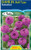 Dahlia Ball Type 'Salvation'
