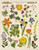 Puzzle - Pressed Flowers