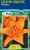 Lilium Asiatic 'Tressor'