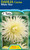 Dahlia Cactus 'White Star'