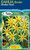 Dahlia Border 'Honka Geel'