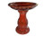 Bird Bath - Tulip Tropical Red