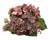 Hydrangea Medley Bundle - Plum