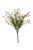 Wax Flower - Cream Bush 40cm
