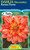 Dahlia Decorative 'Karma Fiest