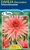 Dahlia Decorative 'Schneckenst