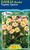 Dahlia Border 'Topmix Apricot'