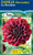 Dahlia Decorative 'La Recoleta