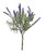 Tuscan Lavender Bush