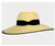 Hat - HC2473 Bella Natural