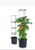 Pot - Veggie Grow Tower 28L