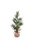 Christmas - Tree In Burlap S