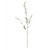 Wild Indigo Stem - White