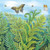 Card - Wild Ferns