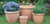 Planter - Terra Rolled Rim XL