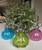 Plant Mister - Glass Clear (102734)