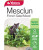 Yts Mesclun French Salad - 2