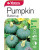 Yts Pumpkin Buttercup - 2