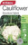 Yts Cauliflower Snowbowl - 3