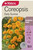 Yts Coreopsis Early Sunrise -