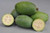 Feijoa 'Mammoth' PB8