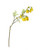Foliage - Kowhai Spray 87cm