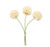 Foliage - Chrysanthemum Cream