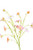 Foliage - Primrose Pink Medley