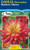 Dahlia Decorative 'Rainbow Sil