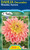 Dahlia Decorative 'Wandas Auro