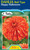 Dahlia Ball Type 'Happy Hallow