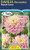 Dahlia Decorative 'Sweet Love'