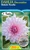 Dahlia Decorative 'Shiloh Noel
