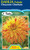 Dahlia Fubaki 'Cheyenne Chieft