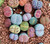 Lithops Potted Assorted GOL
