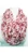 Snood - WB-XSH-10