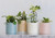 Pot - Bella Green 15.5cm