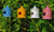 Garden Decor - Butterfly Bird