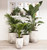 Pot - Marnus Cylinder White - (93832) (102441)