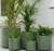 Pot - Vellum Cylinder Green S